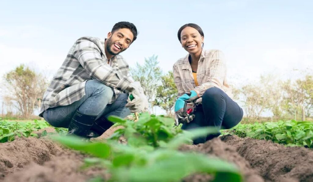 Trabajos en finca para parejas